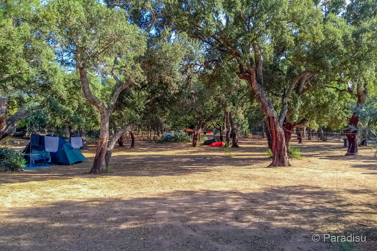 Camping U Pinarellu