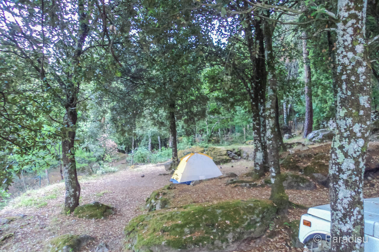 Camping U Tavignanu