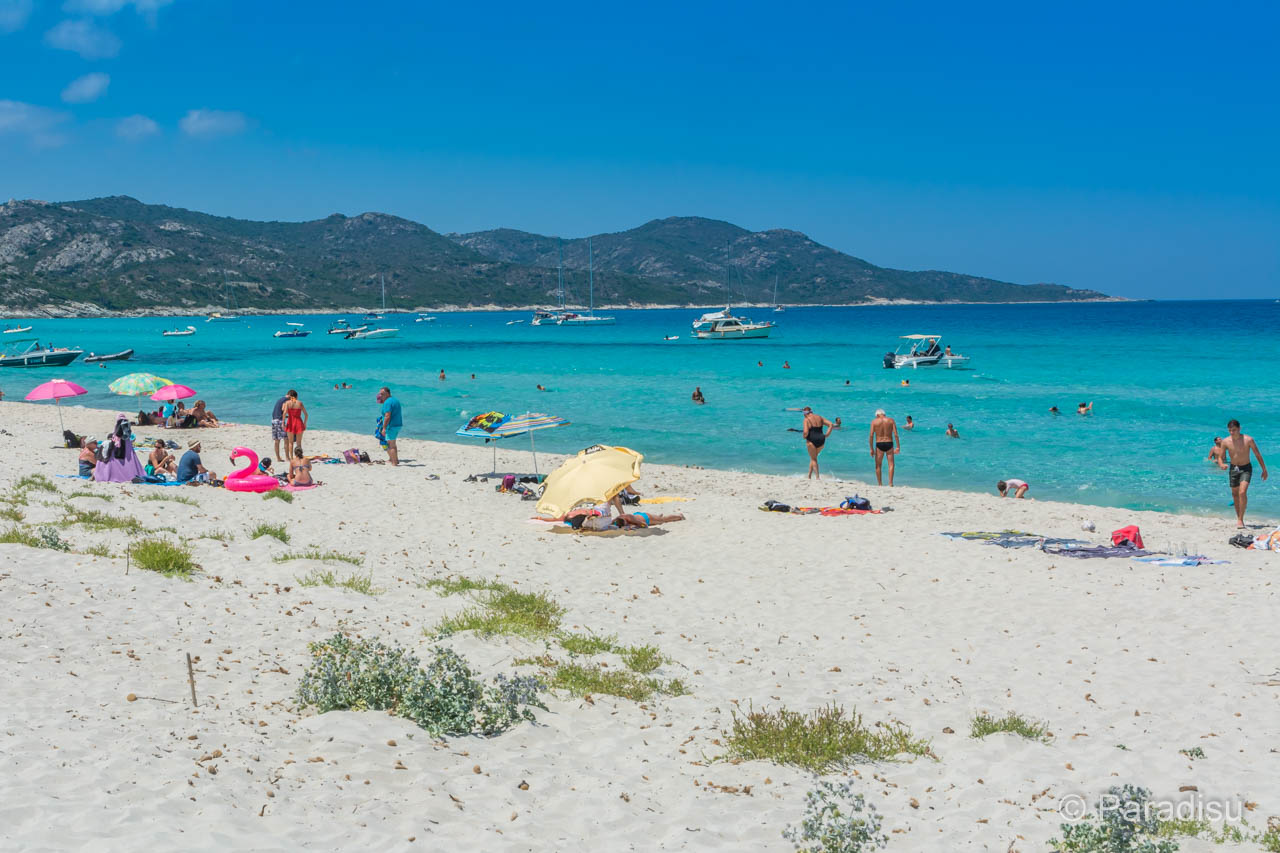 Korsika Reisezeit Sommer