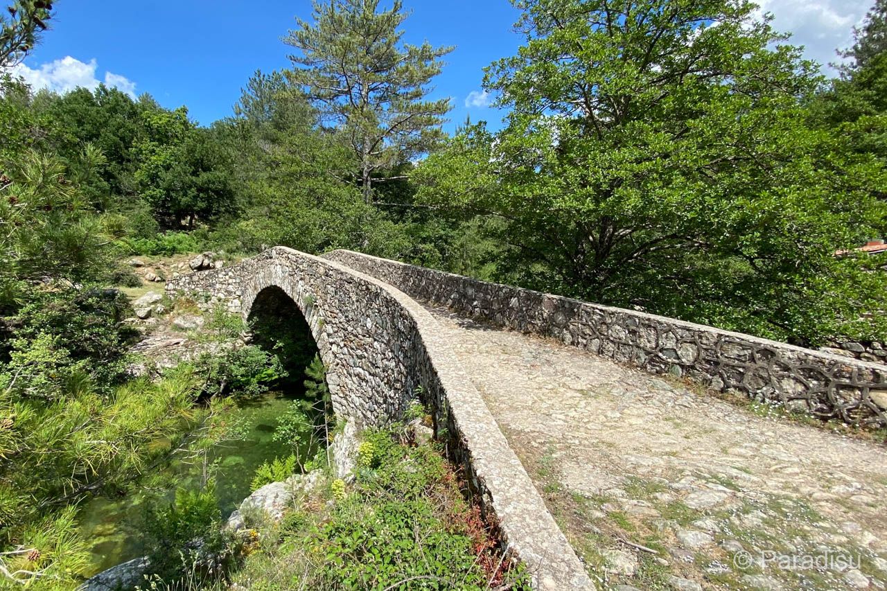 Pont de Muricciolu