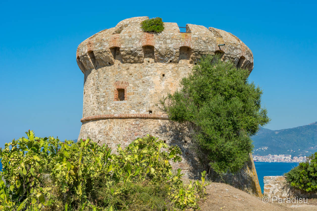 Korsika Geschichte Genueserturm